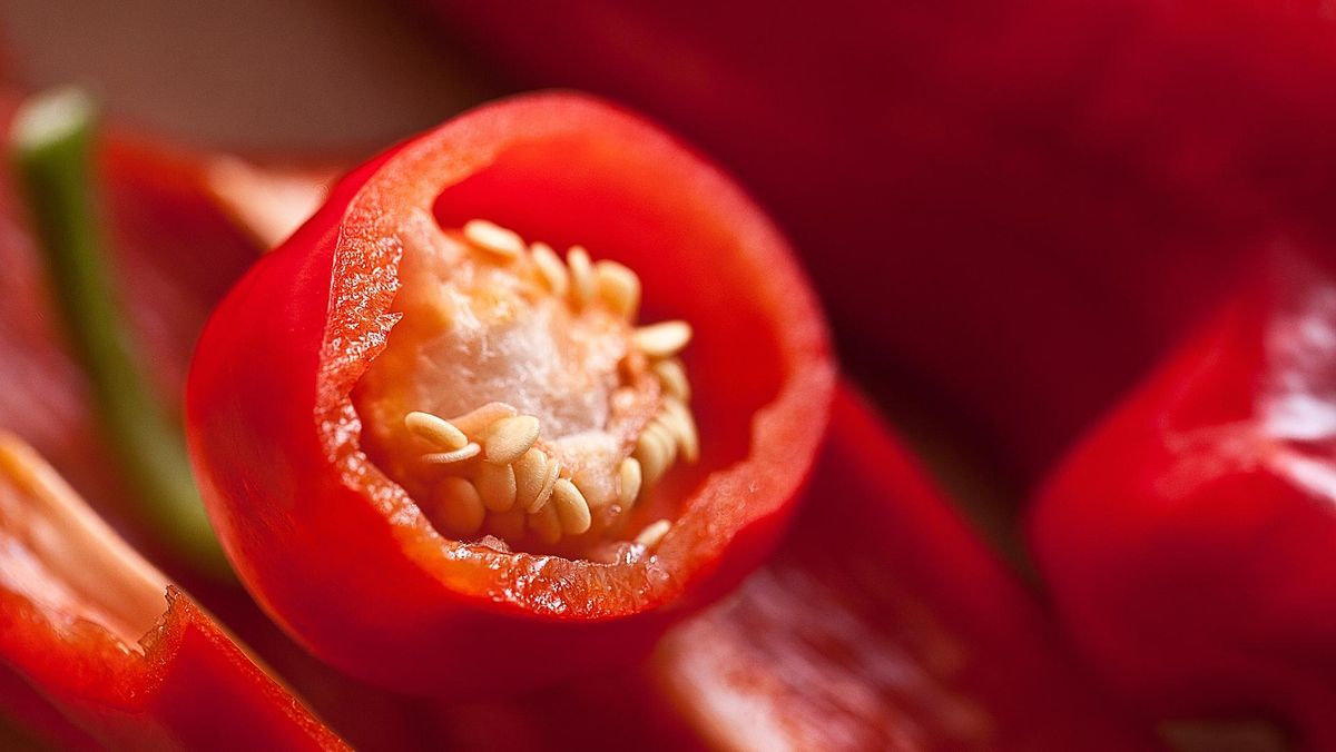 5 Sisa Makanan Ini Bisa Jadi Pupuk Alami Tanaman di Rumah