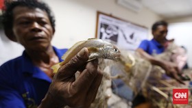 Nelayan Muara Angke Serahkan Ikan kepada Ahok