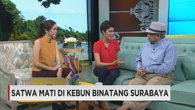 KASUS KEMATIAN SATWA DI KEBUN BINATANG SURABAYA