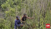Lipsus Pulau Buru Proses pembuatan minyak kayu putih secara tradisional, Waeapo, Pulau Buru, Selasa, 8 Maret 2016. CNN Indonesia/Adhi Wicaksono.
