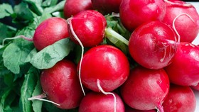 5 Nutrisi Pereda Kecemasan