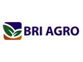 BRI Agro Resmi Ganti Nama Jadi Bank Raya
