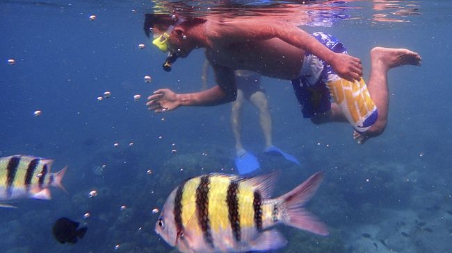 Pemilik kapal pesiar dari beberapa negara tetangga dan puluhan komunitas penyelam akan diundang secara khusus untuk menikmati Sail Sabang 2017.