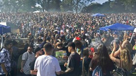 Rayakan Hari 4/20, Penikmat Ganja AS Sisakan 11 Ton Sampah