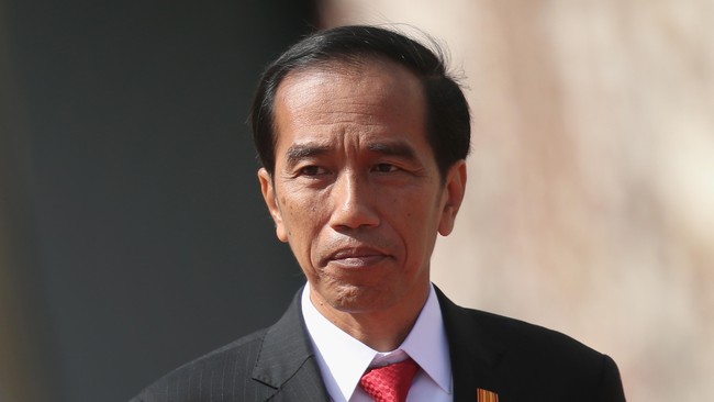 Presiden Jokowi akan bertemu dengan Presiden Korea Selatan, Park Geun-hye, dan membahas sejumlah isu, termasuk perkembangan di Semenanjung Korea. 
