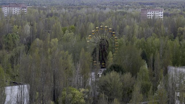 Kota Chernobyl, Ukraina, yang terkenal akibat bencana nuklir akan dijadikan tempat festival musik pada 31 Agustus mendatang.