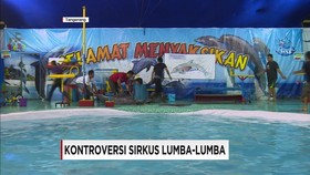 Kontroversi Sirkus Lumba-lumba (Part 2)