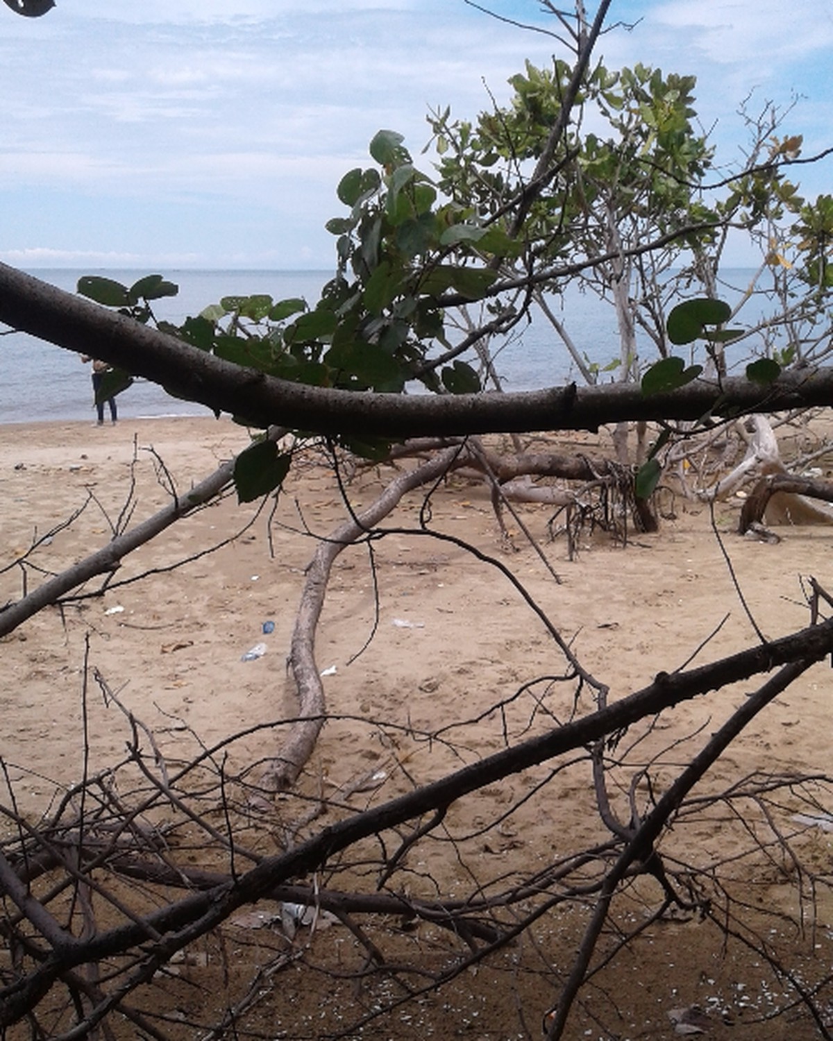Menikmati Keindahan Pantai Joras di Kalimantan Selatan