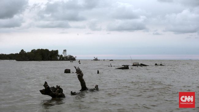 BRIN Ungkap Sebab Jakarta dan Pantura Tenggelam Lebih Cepat BRIN mengungkap tiga faktor utama, yakni perubahan iklim, penurunan laju muka tanah (landsubsidence), dan kondisi lokal setempat.