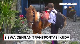 Asiknya Berangkat Sekolah Naik Kuda