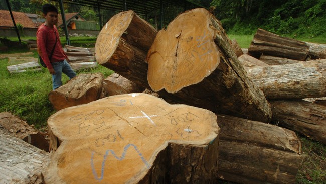 Kementerian Perindustrian menyebut pelaku industri mebel kesulitan menembus ekspor karena tak semua negara mengakui Sistem Verifikasi Legalitas Kayu (SVLK).