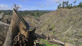 Blogger dan Media Diminta Kampanyekan Perubahan Iklim