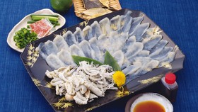 Ikan Fugu Lebih Beracun Dibanding Sianida