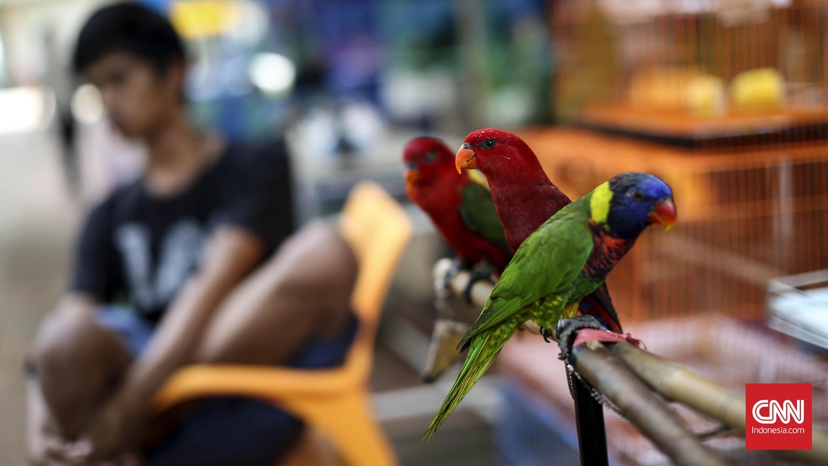 Florina, Ajang Tampil Flora Cantik dan Fauna Menarik