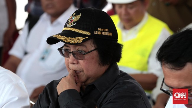 KLHK akan melepaskan 4,1 juta hektare lahan untuk masyarakat di kawasan hutan melalui program Tanah Objek Reforma Agraria (TORA).