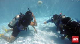 Bujet Khusus untuk Berkenalan dengan Kehidupan Bawah Laut