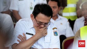 Soal Calon Wagub, Ahok Bimbang antara Heru atau Djarot