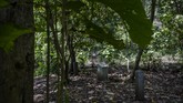 Nisan Korban Tragedi 1965 di Hutan Jati Plumbon Batu nisan didirikan di Hutan Plumbon, Semarang, Jateng. Tempat itu diyakini jadi kuburan 24 orang korban tragedi 1965.