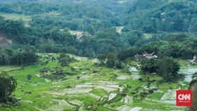 Toraja dan Emas Hitam Bernama Kopi