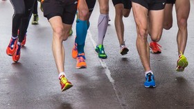 Safari Run, Ribuan Peserta Lari Bareng Satwa