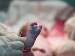 Mengerikan! Bayi Baru Lahir Tewas Diserang Anjing di Rumah Sakit India