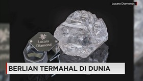 Berlian 813 Karat Dibeli Perusahaan Dubai