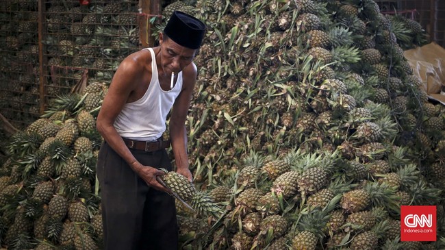 Dengan mengenalkan sistem online yang diterapkan Pasar Induk Nusantara, petani akan menikmati harga yang adil dan transparan.