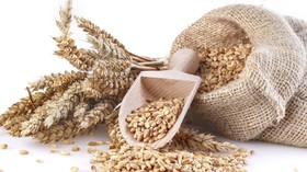 Aplikasi Pintar Pendeteksi Kandungan Gluten