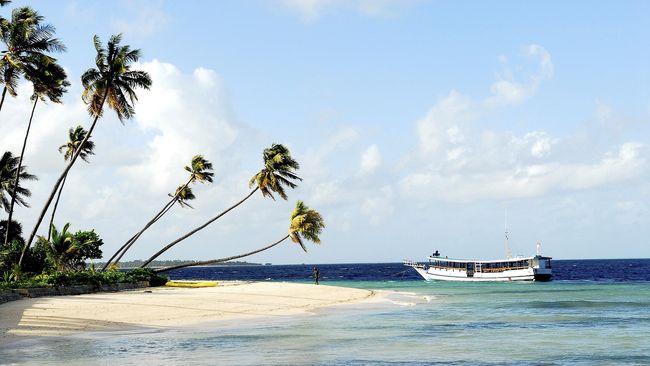 Wakatobi Wonderful Festival and Expo alias Wakatobi Wave pada 11-13 November mendatang akan dimeriahkan atraksi budaya dan diving.