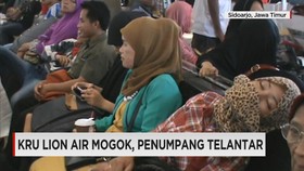 Pilot Lion Air Mogok