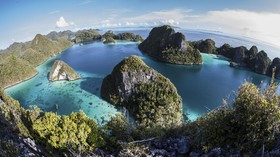 Festival Raja Ampat Buka Pintu Bagi Penyelam Pemula