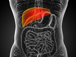 Dokter Harvard Ungkap 5 Minuman Terbaik untuk Kesehatan Liver, Apa Saja?