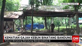 Pemeriksaan Satwa Pasca Kematian Gajah