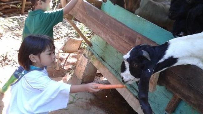 Salah satu bentuk sistem pendidikan yang dapat dicoba untuk mengubah keadaan miris dunia pendidikan adalah pendidikan sekolah alam.