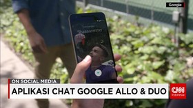 Aplikasi Terbaru Google: Allo dan Duo