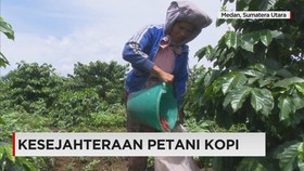 Kesejahteraan Petani Kopi Rendah