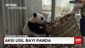Video Populer Youtube