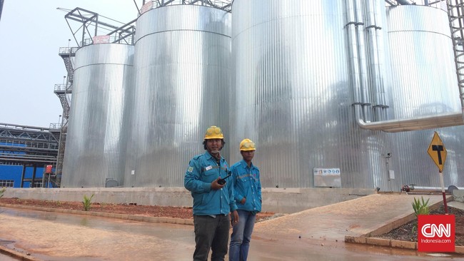 Kementerian Energi dan Sumber Daya Mineral (ESDM) menyatakan smelter tersebut rencananya mengolah pasir besi, seng, dan nikel.
