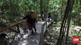 Menjelajahi Alam Papua Barat