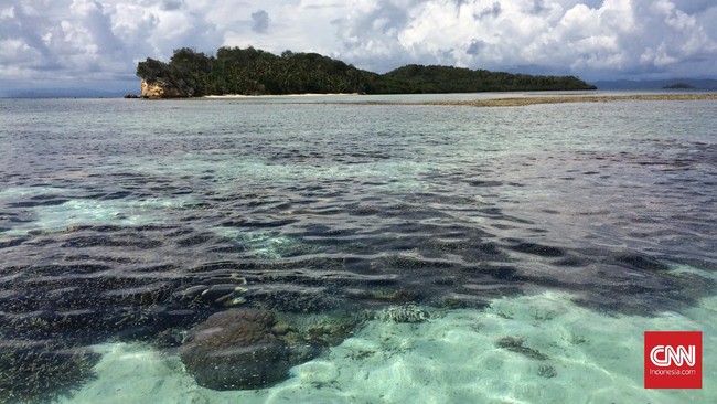 Sesuai peraturan bahwa perusakan kekayaan alam, seperti terumbu karang, lahan gambut, dan hutan, merupakan tindakan kriminal dengan ancaman pidana.
