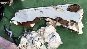 Mesir: Belum Saatnya Menyimpulkan Penyebab EgyptAir Jatuh
