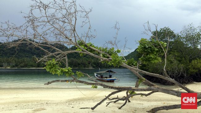 Raja Ampat dan Wakatobi bukan satu-satunya pulau cantik di Indonesia. Melalui Festival Pahawang, pulau yang tidak kalah cantik itu berusaha memamerkan diri.