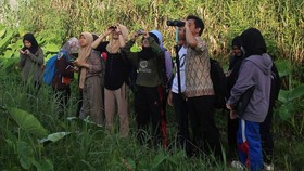 Indonesia Peringati Hari Burung Migran Sedunia