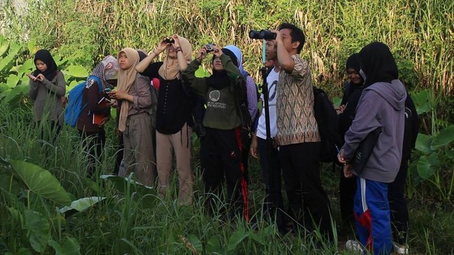 Indonesia turut memperingati hari Burung Migran Sedunia. Apa saja yang dilakukan dalam peringatan itu?