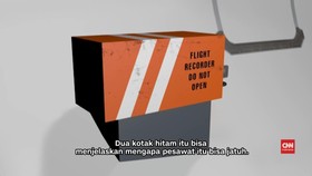 Sulitnya Mencari Kotak Hitam EgyptAir MS804
