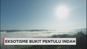 Menikmati Matahari Terbit di Bukit Pentulu Indah