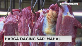 Mungkinkah Harga Daging Sapi di bawah Rp 80.000 per kilogram?