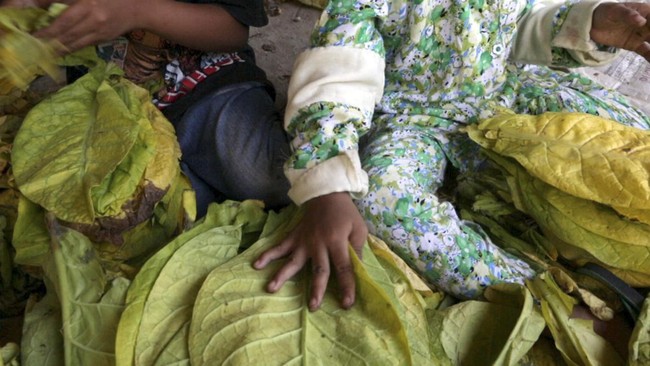 Kementerian Ketengakerjaan berharap perusahaan menerapkan CSR untuk meningkatkan taraf pendidikan anak-anak agar tidak ada lagi pekerja anak.