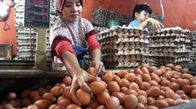 Jelang Puasa, Harga Telur dan Ayam Sudah Merangkak Naik