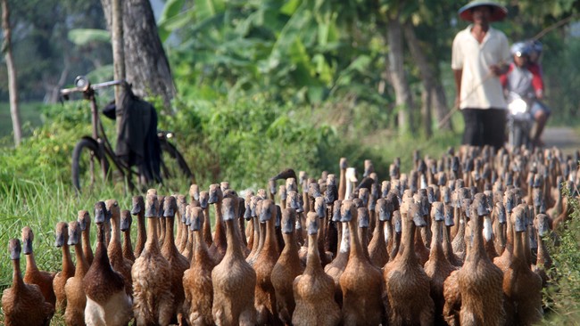 Kadin membidik satu juta petani, peternak, dan nelayan untuk bermitra dengan pelaku usaha dalam rangka pemerataan ekonomi Indonesia.